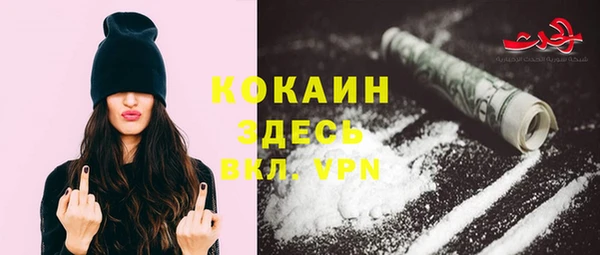 мдпв Кукмор