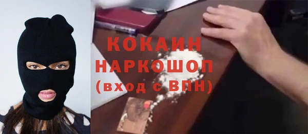 мдпв Кукмор