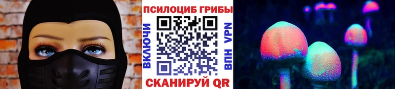 Купить Геленджик Псилоцибиновые грибы мицелий